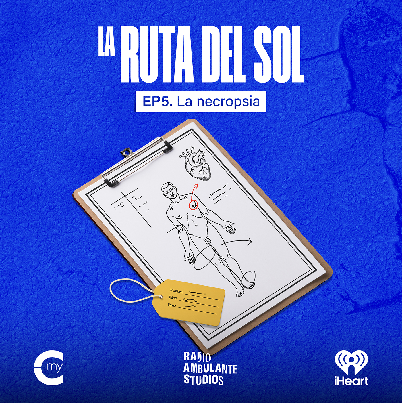 Episode 5 | The Autopsy | Central, image size:1400x1401